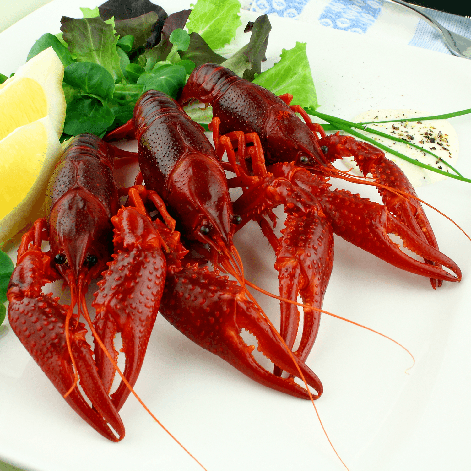Shellfish/Others