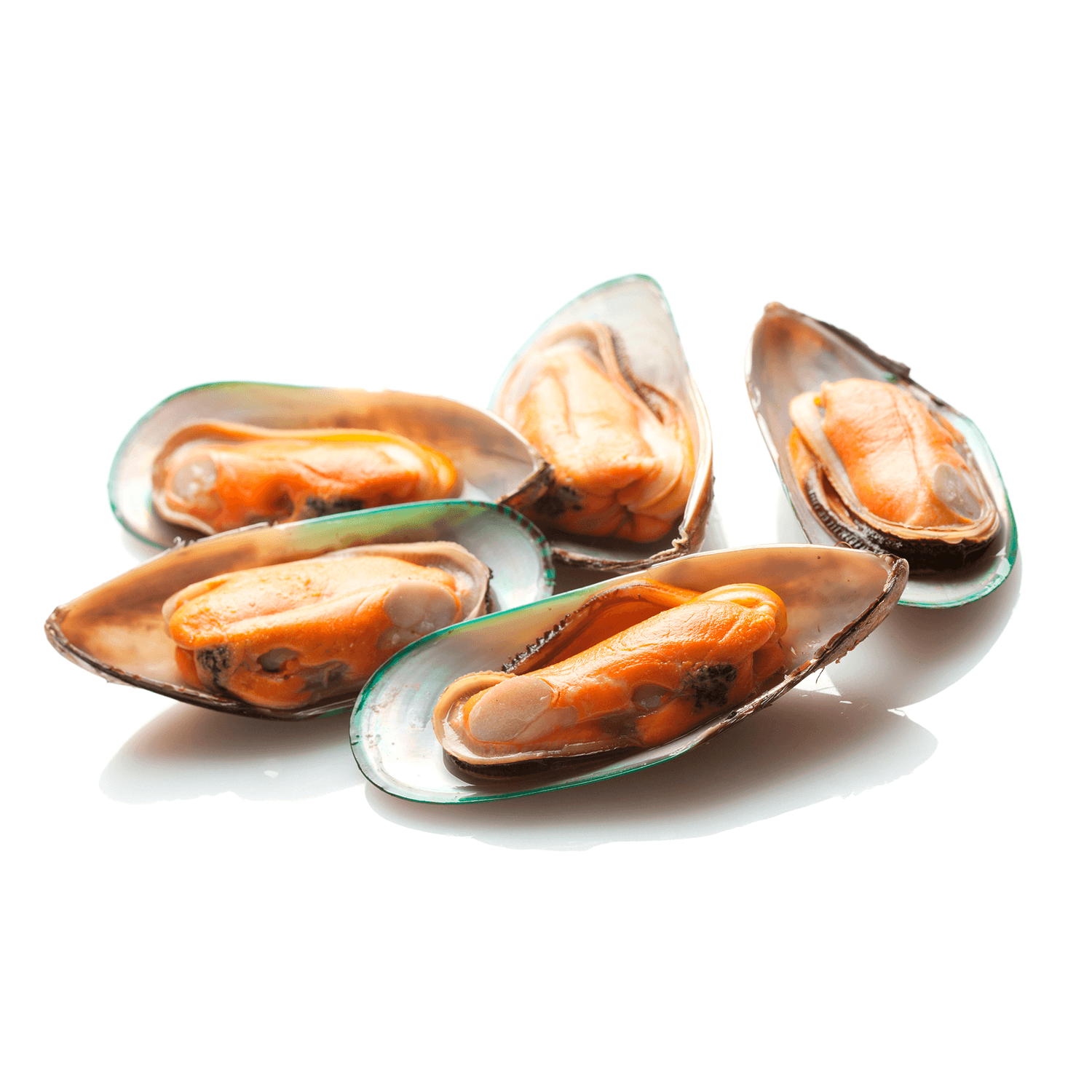 Mussels